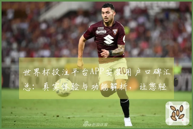 世界杯投注平台APP安装用户口碑汇总：真实体验与功能解析，让您轻松上手