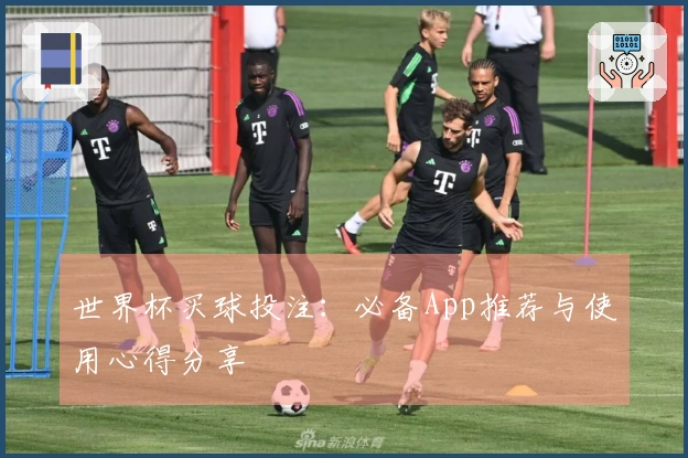 世界杯买球投注：必备App推荐与使用心得分享