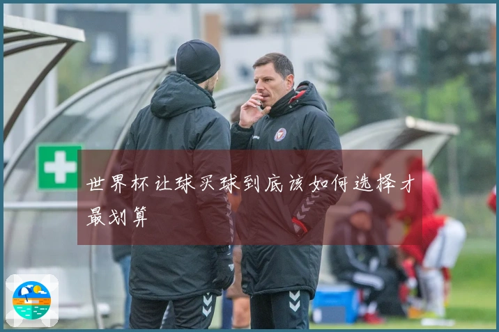 世界杯让球买球到底该如何选择才最划算