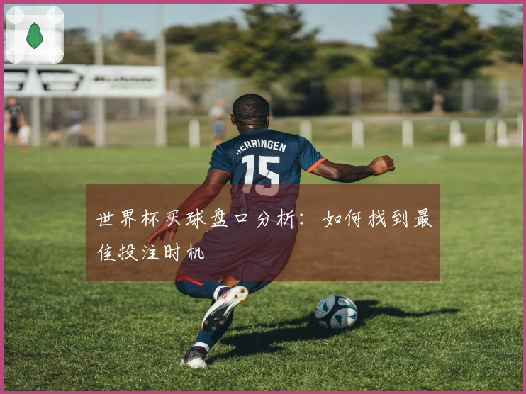 世界杯买球盘口分析：如何找到最佳投注时机
