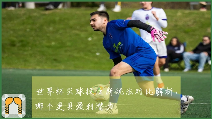 世界杯买球投注新玩法对比解析，哪个更具盈利潜力