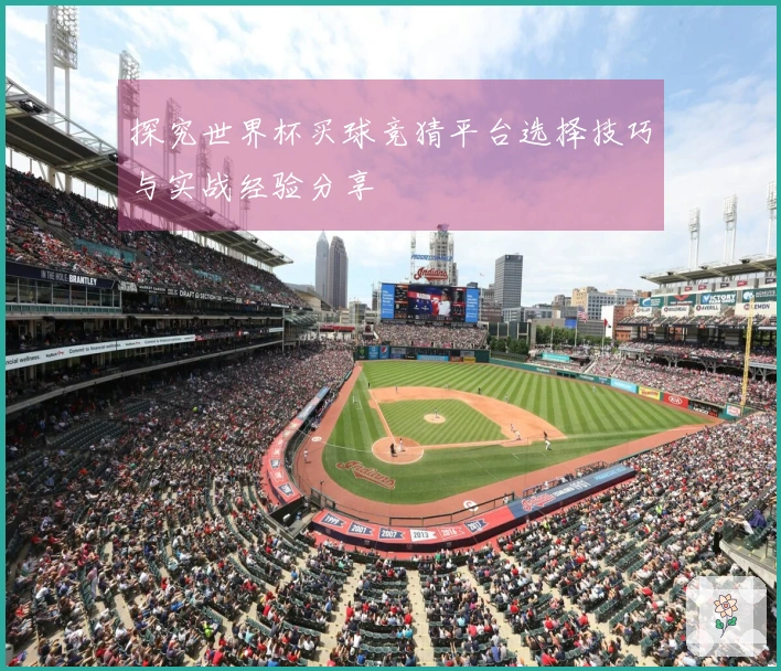 探究世界杯买球竞猜平台选择技巧与实战经验分享