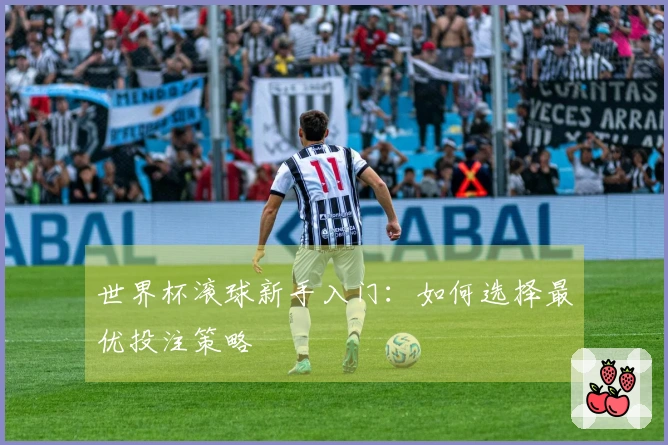 世界杯滚球新手入门：如何选择最优投注策略