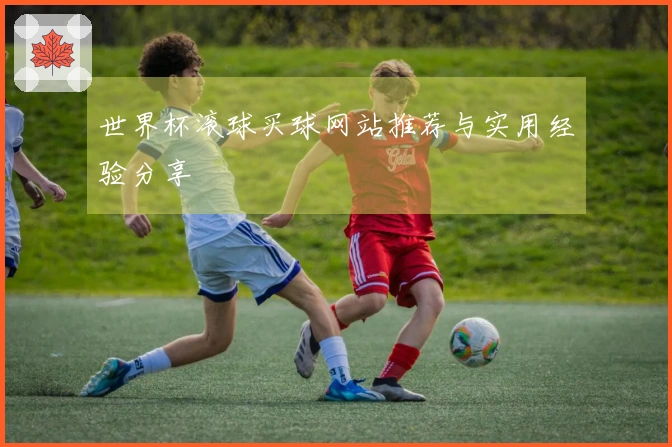 世界杯滚球买球网站推荐与实用经验分享