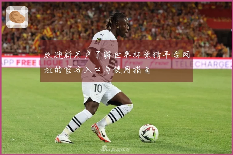 欢迎新用户了解世界杯竞猜平台网址的官方入口与使用指南