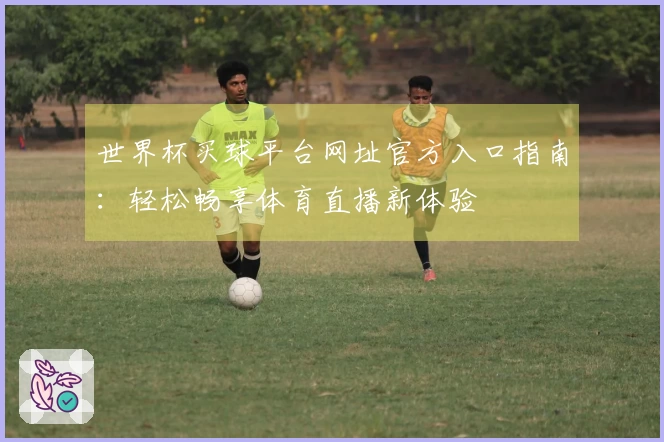 世界杯买球平台网址官方入口指南：轻松畅享体育直播新体验