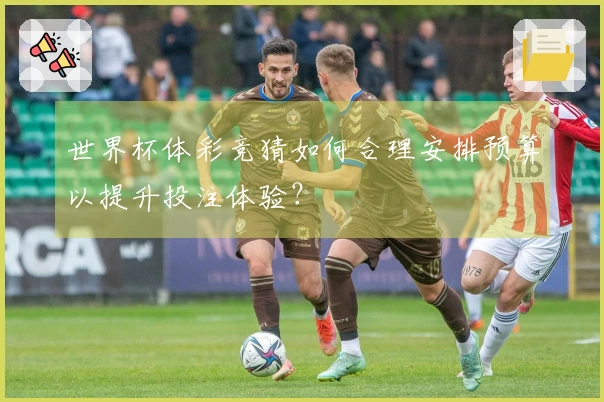 世界杯体彩竞猜如何合理安排预算以提升投注体验？