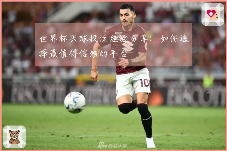 世界杯买球投注经验分享：如何选择最值得信赖的平台