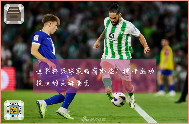 世界杯买球策略有哪些？探寻成功投注的关键要素