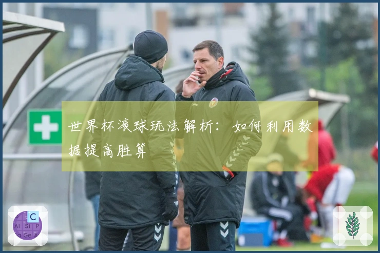 世界杯滚球玩法解析：如何利用数据提高胜算