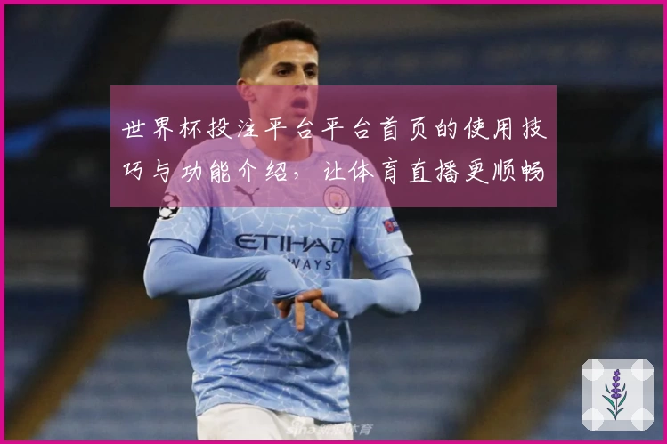 世界杯投注平台平台首页的使用技巧与功能介绍，让体育直播更顺畅