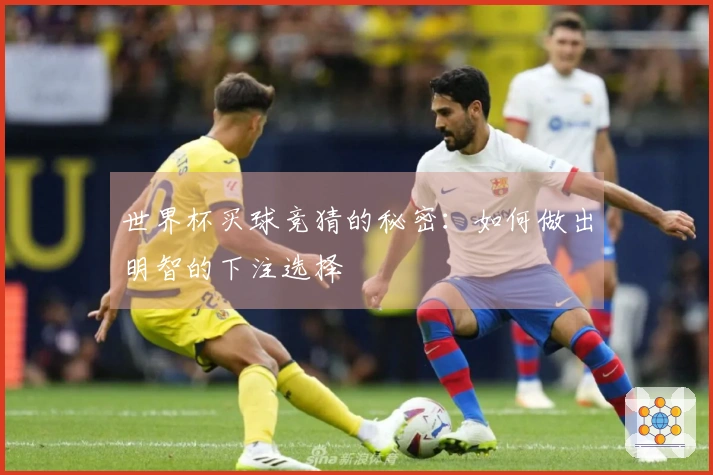 世界杯买球竞猜的秘密：如何做出明智的下注选择