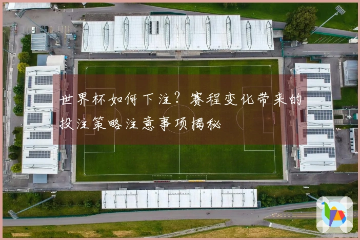 世界杯如何下注？赛程变化带来的投注策略注意事项揭秘