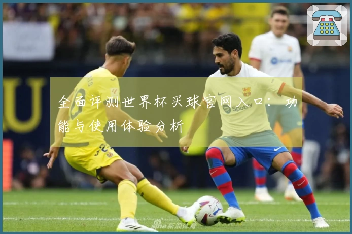 全面评测世界杯买球官网入口：功能与使用体验分析
