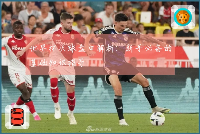 世界杯买球盘口解析：新手必备的基础知识指导