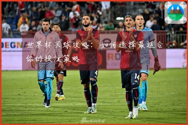 世界杯买球攻略：如何选择最适合你的投注策略