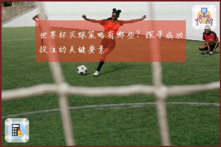 世界杯买球策略有哪些？探寻成功投注的关键要素