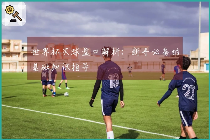 世界杯买球盘口解析：新手必备的基础知识指导
