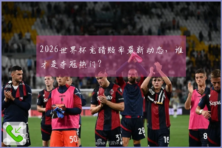 2026世界杯竞猜赔率最新动态，谁才是夺冠热门？