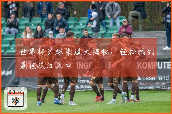 世界杯买球渠道大揭秘，轻松找到最佳投注入口