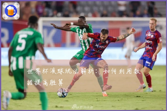 世界杯滚球玩法解析：如何利用数据提高胜算