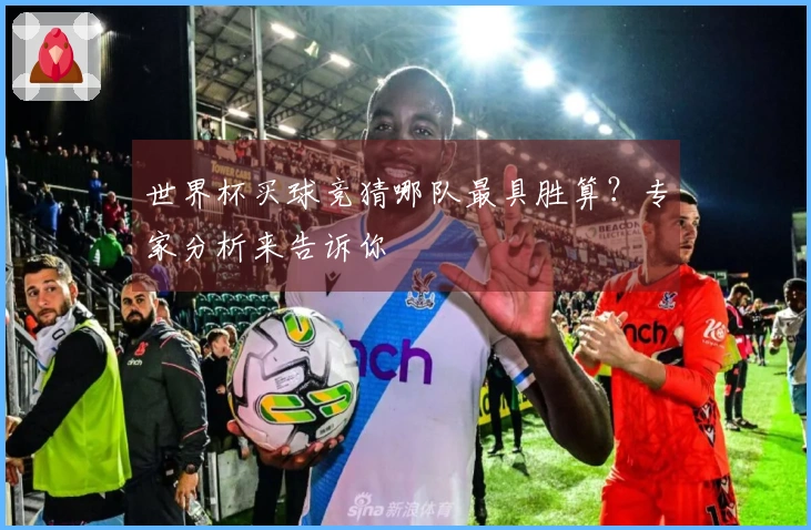 世界杯买球竞猜哪队最具胜算？专家分析来告诉你
