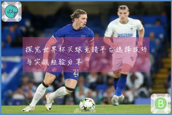 探究世界杯买球竞猜平台选择技巧与实战经验分享