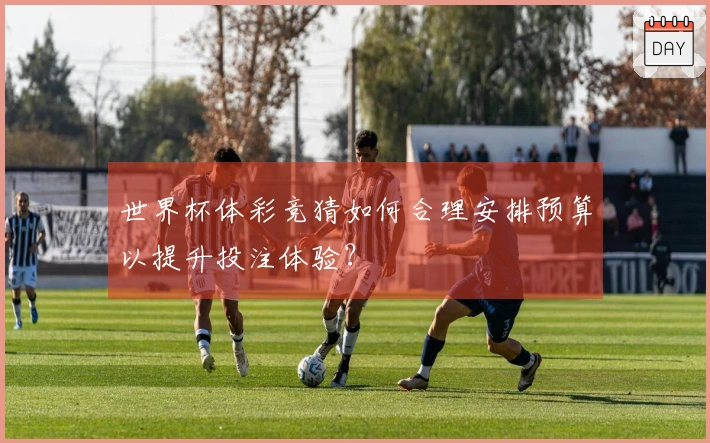 世界杯体彩竞猜如何合理安排预算以提升投注体验？